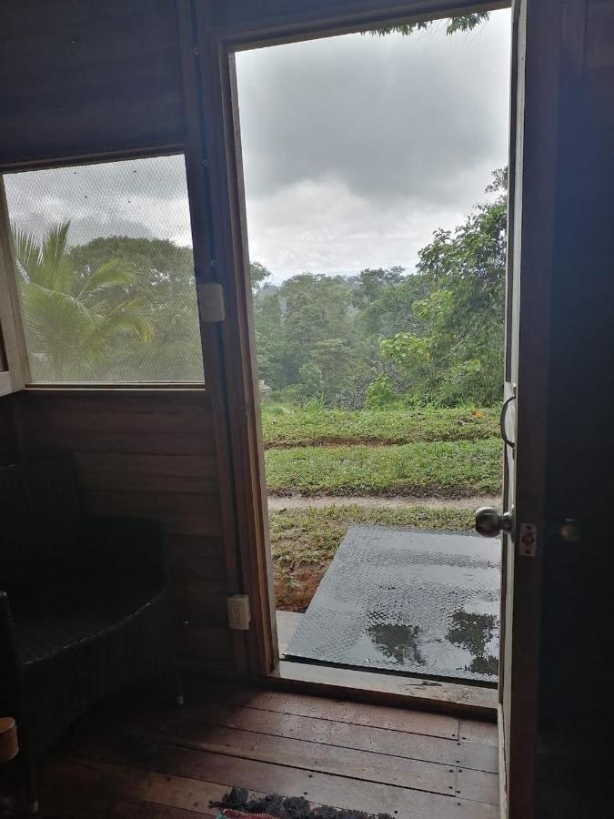 Finca Sueno De Osa Puerto Jiménez Exterior foto