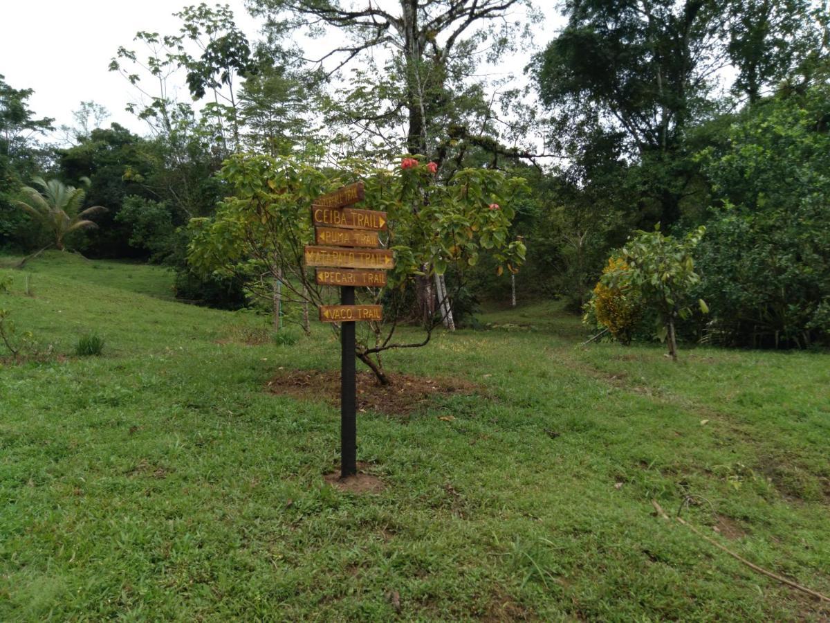 Finca Sueno De Osa Puerto Jiménez Exterior foto